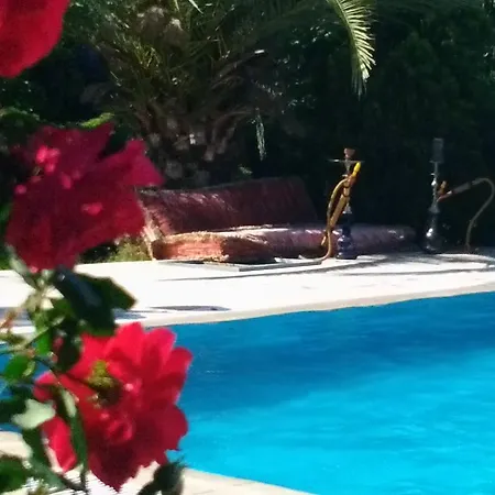 Villa Sultan Konagi Genis Bahce Ozel Havuz Sapanca