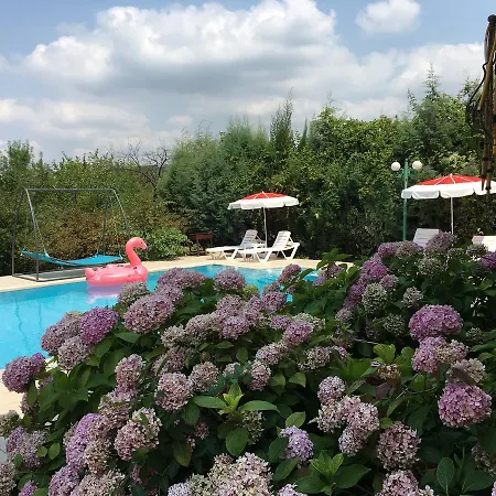 Villa Sultan Konagi Genis Bahce Ozel Havuz Sapanca